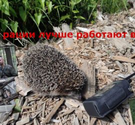 Какие рации выбрать для леса